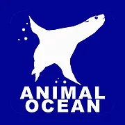 Animal Ocean Expeditions
