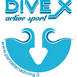 Dive-X Active Sport