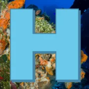 Hatts Diving Headquarters