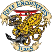Reef Encounters