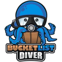 Bucket List Diver