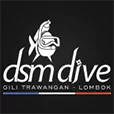 DSM Dive