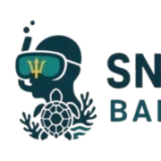 Snorkeling Barbados