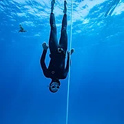 Blueback Freediving & Yoga