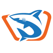 Shark Diving Cape Town