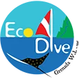 Eco Dive