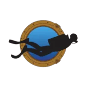 Cape Town Scuba Dive