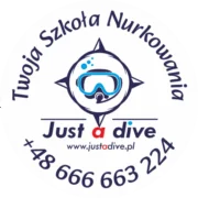 Just a Dive