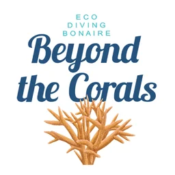 Beyond the Corals
