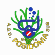 Asd Posidonia