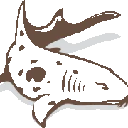 Triton Bay Divers