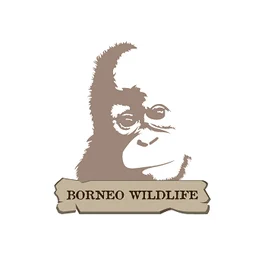 Dive Borneo Bah