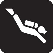Divers Down