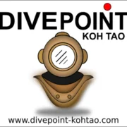 Dive Poin