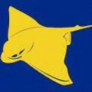 Vibe Dive Center