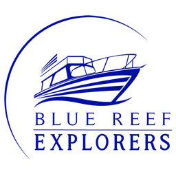Blue Reef Explorers