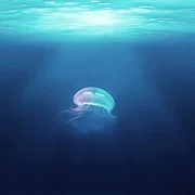 MaraFlow-Dive
