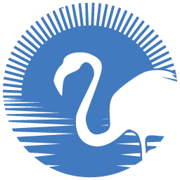 Flamingo Diving