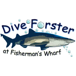 Dive Forster at Fisherman's Wharf