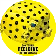 Feeldive Scarlino Diving Center