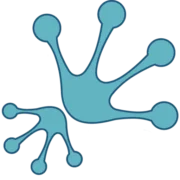 Wet Frog Divers