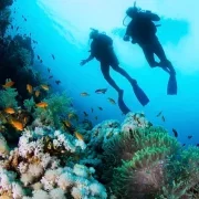 Turtle Bay Dive Center