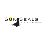 Sun Seals Divers