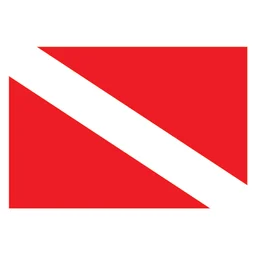 The Dive Shop