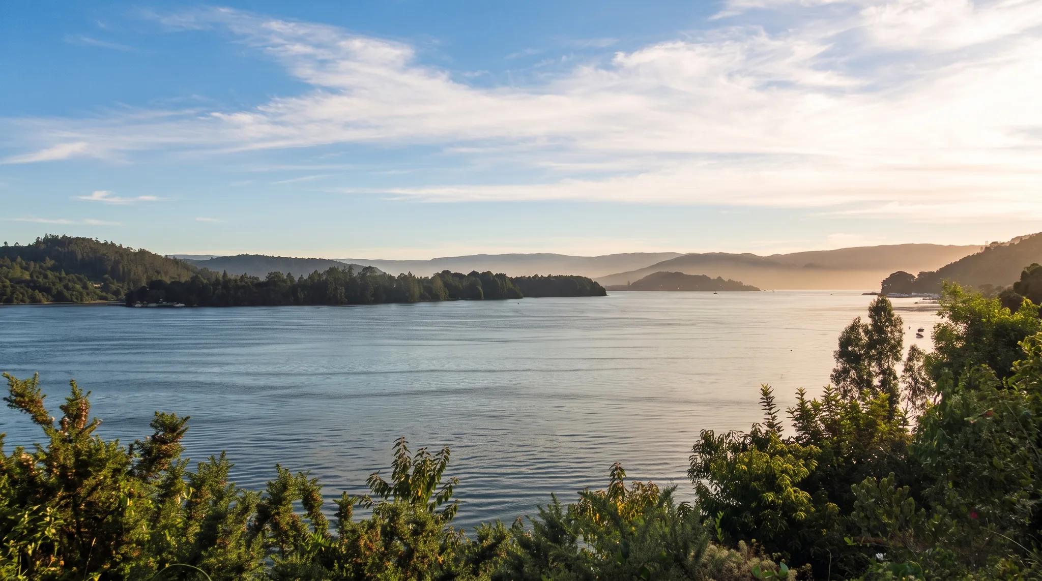 Valdivia