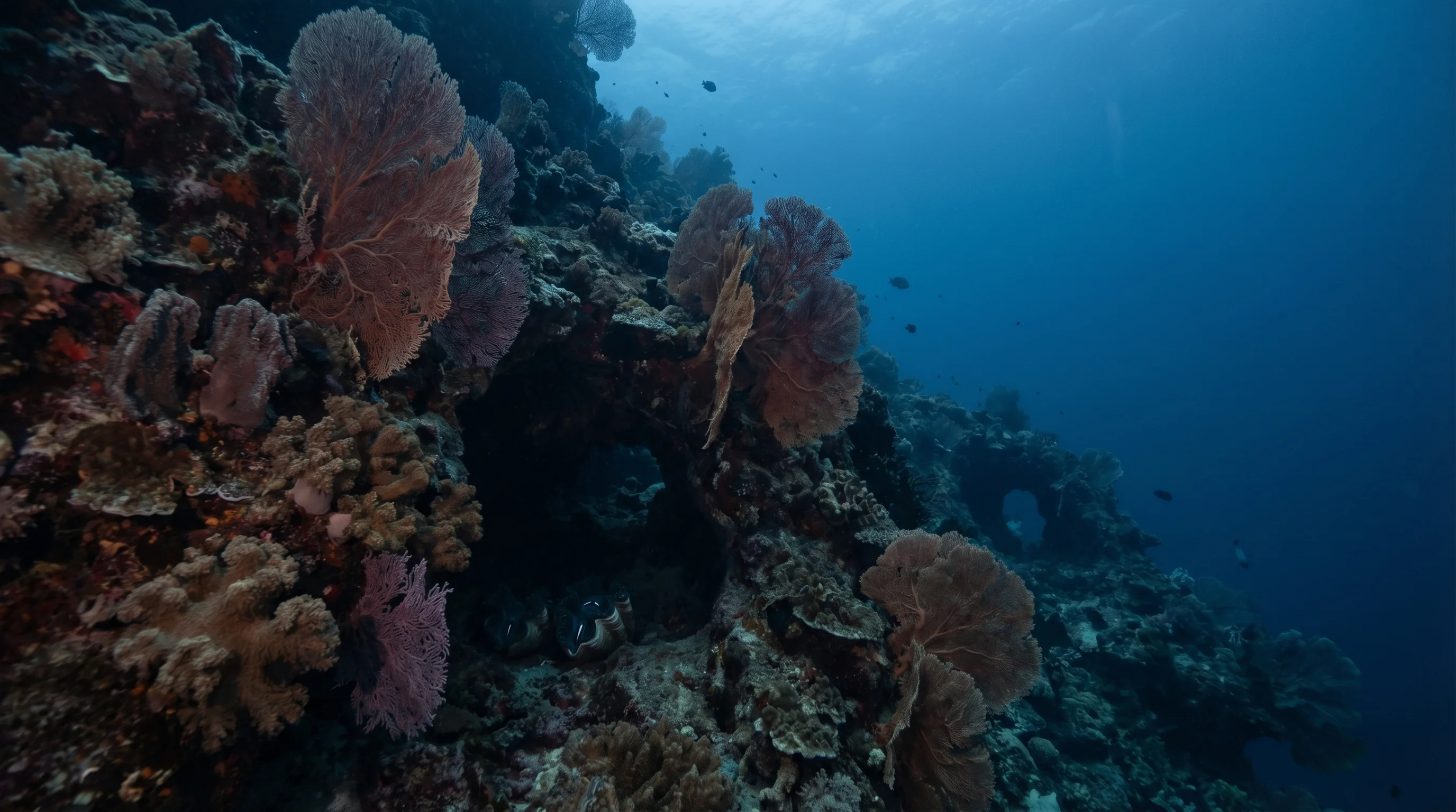 Dive site in Menjangan