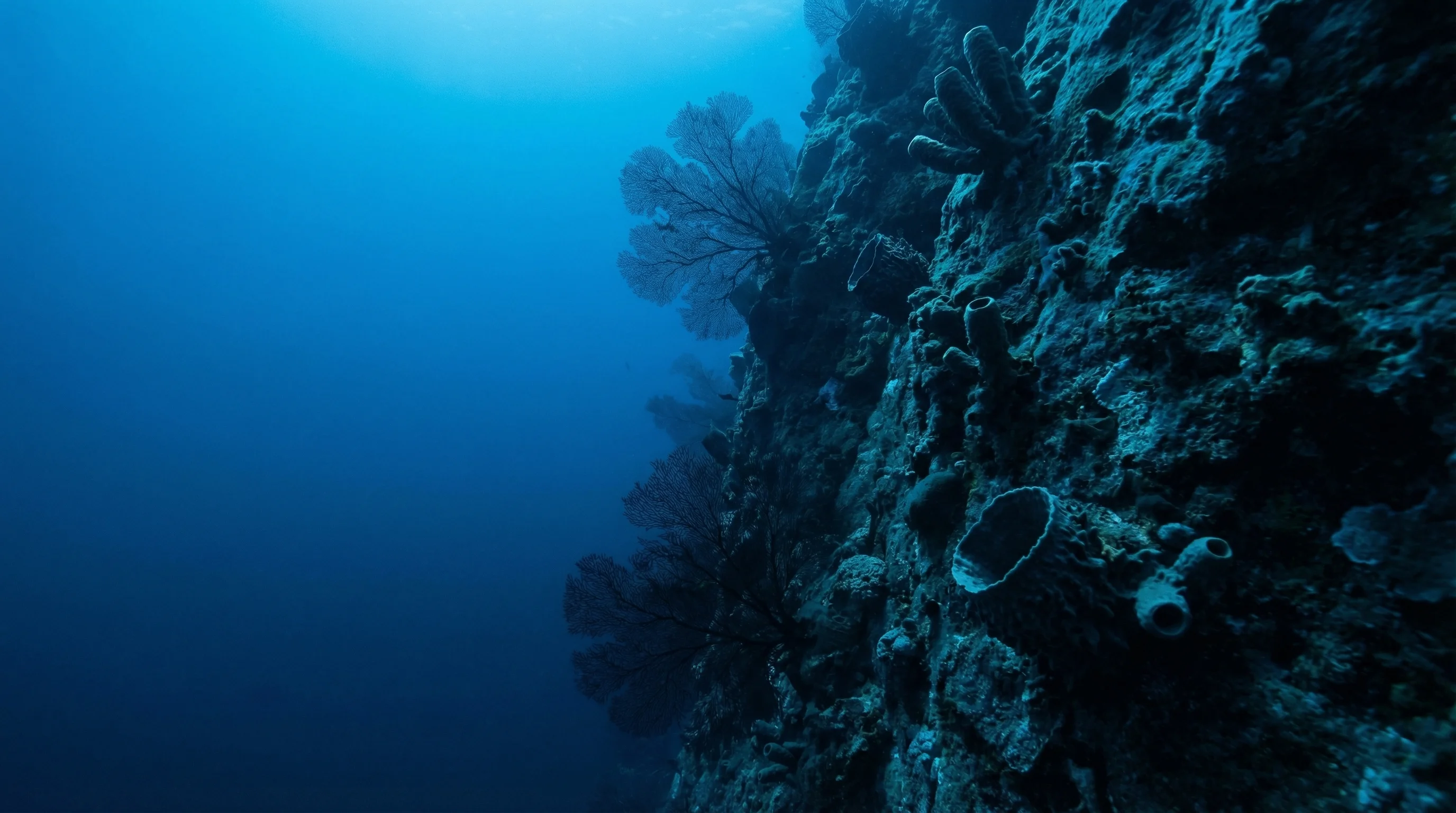 Dive site in Ningaloo Reef
