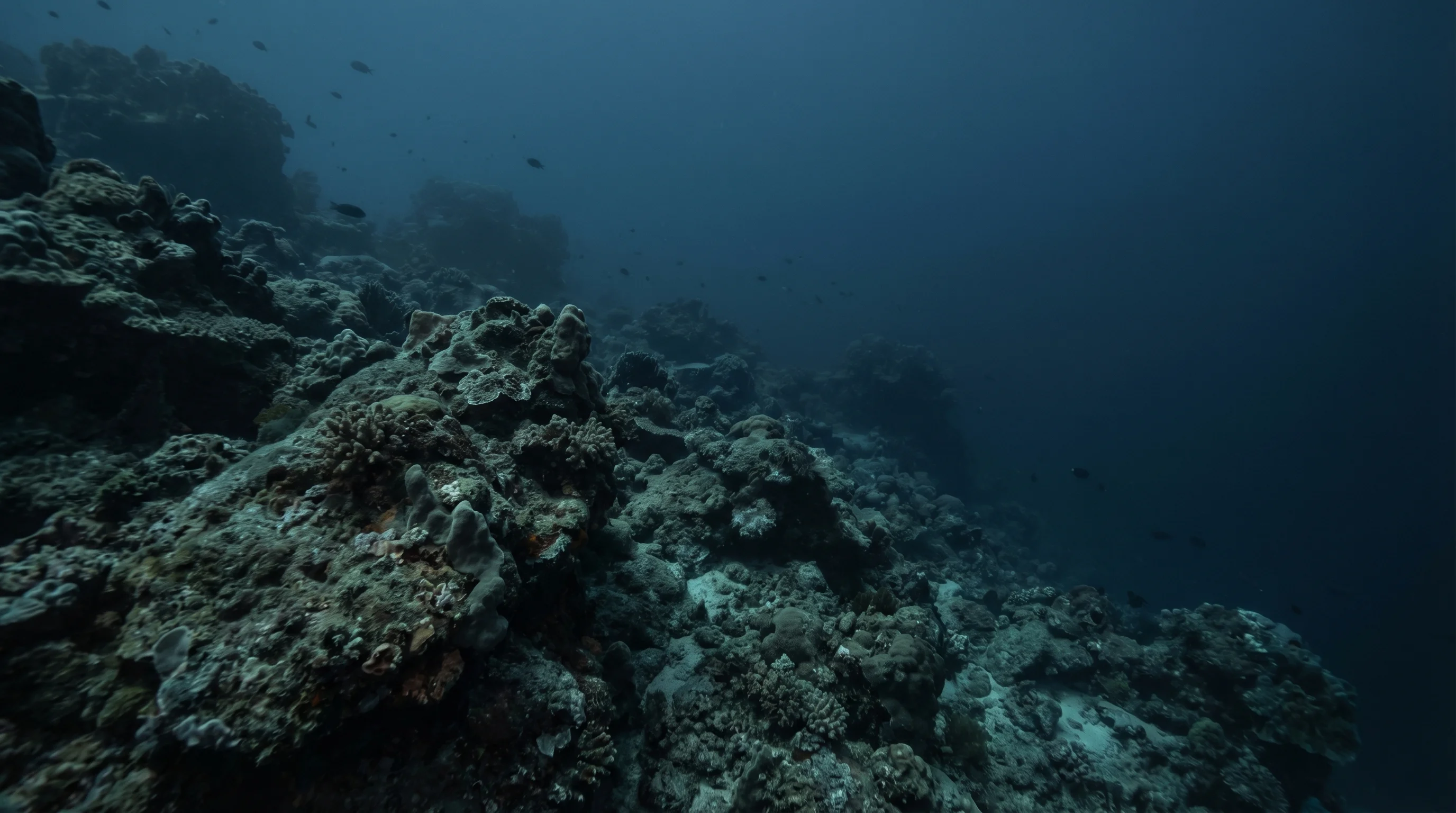 Dive site in Aceh Besar