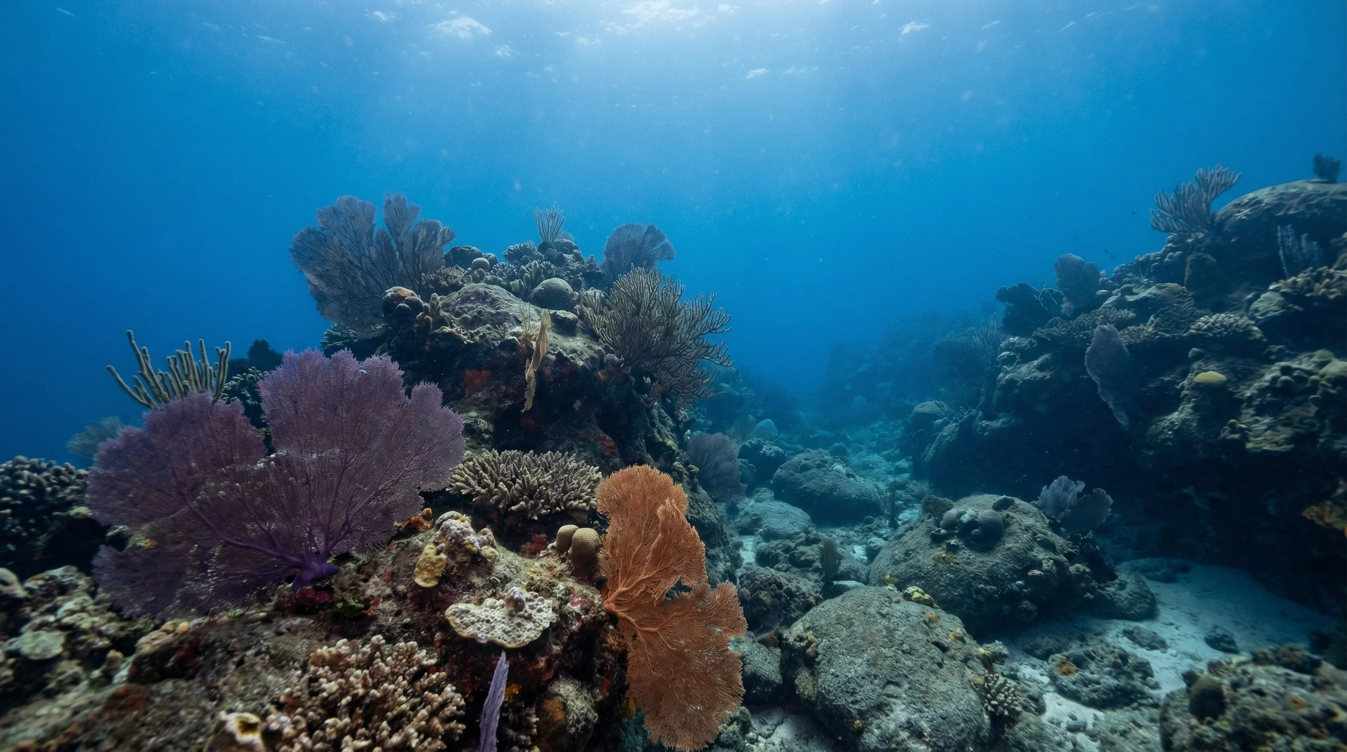 Gulf of Thailand North Pinnacle