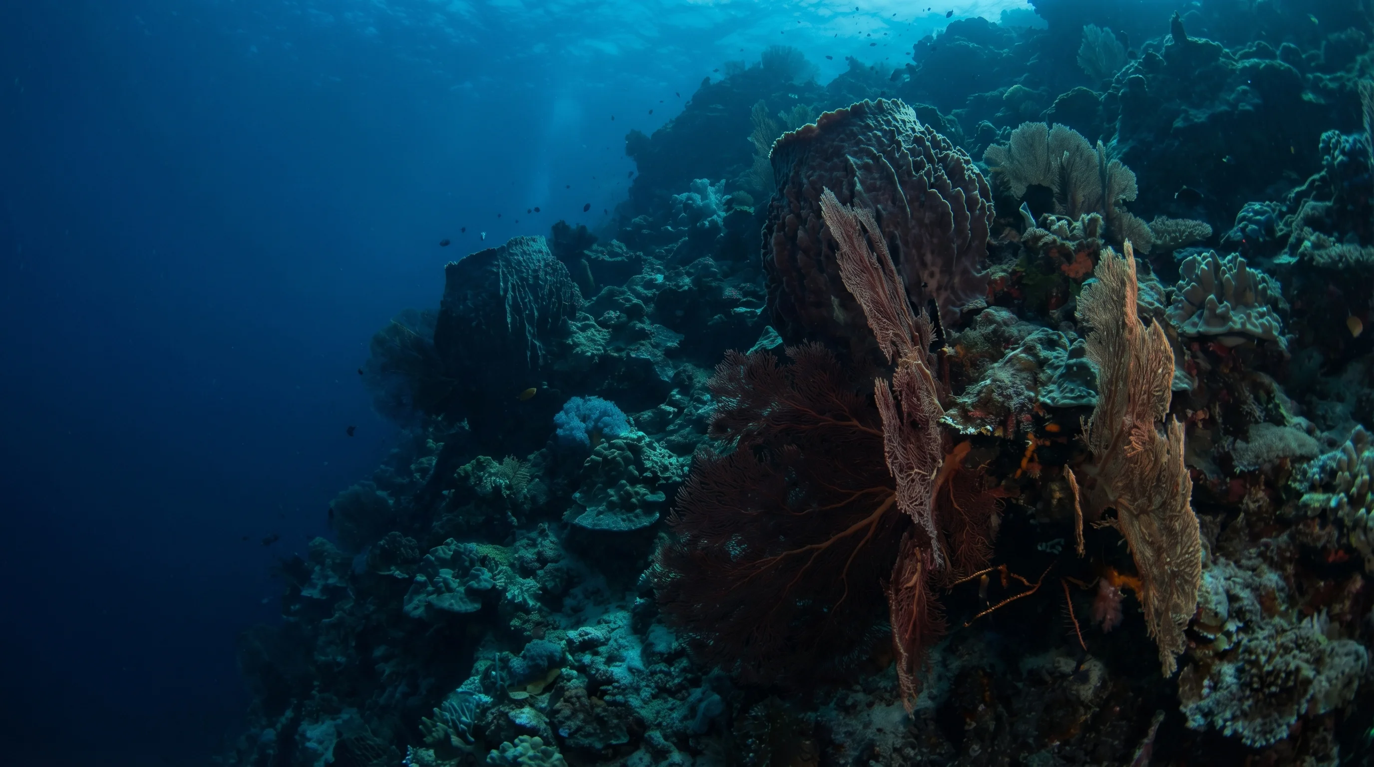 Dive site in Kadidiri