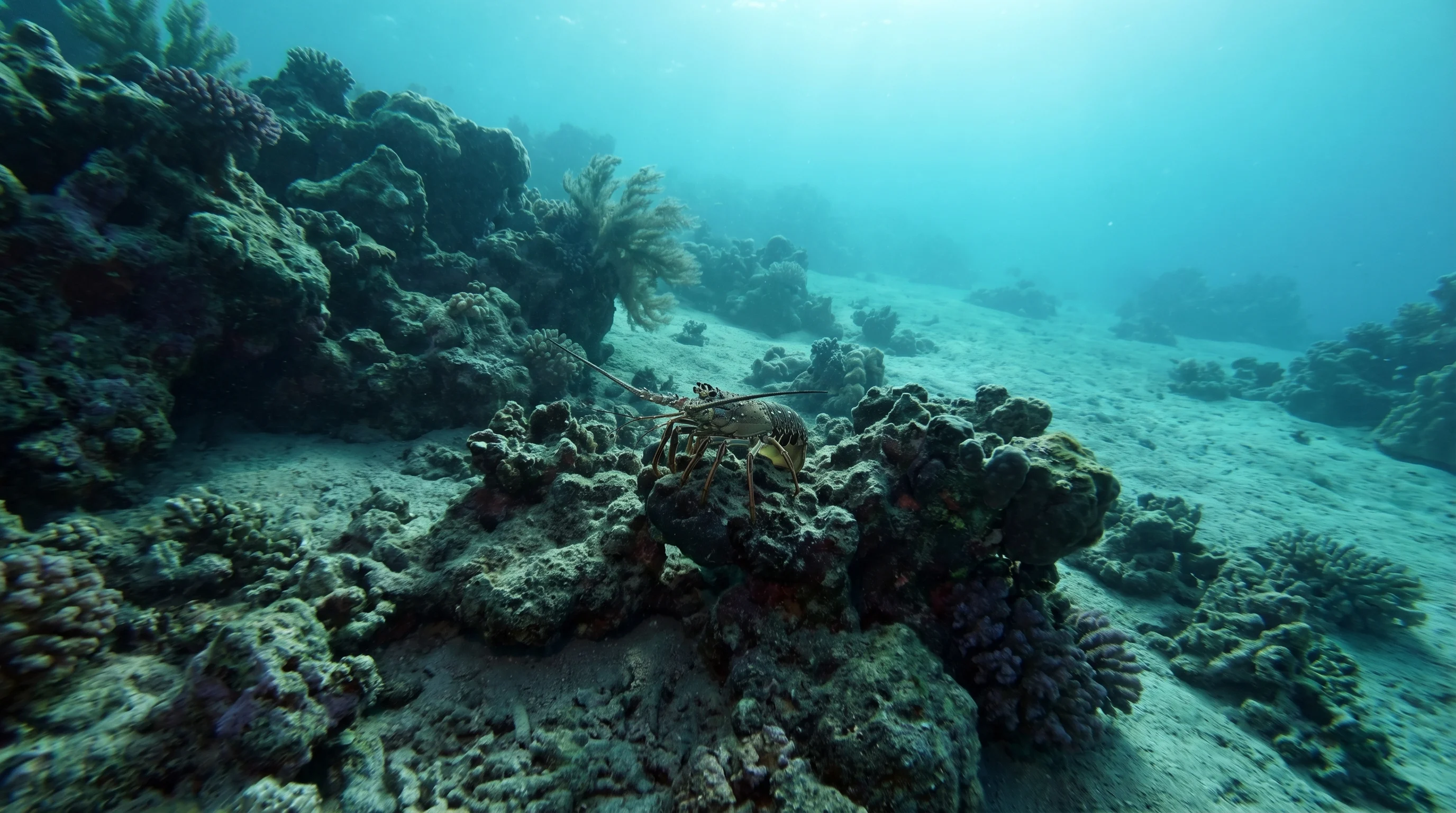 Farun Island