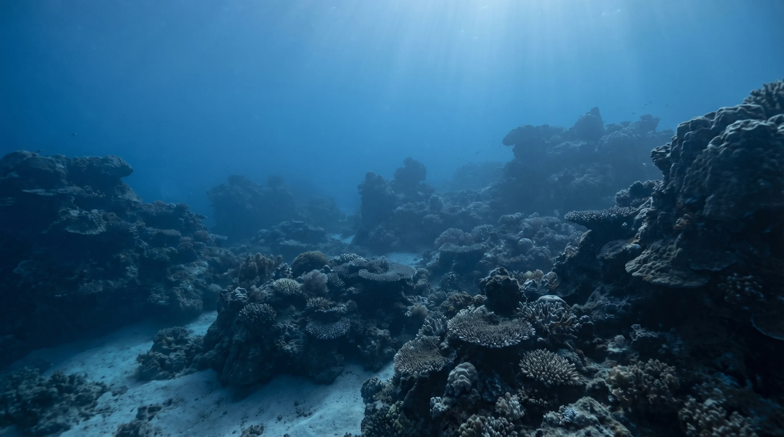 Dive site in Donggala