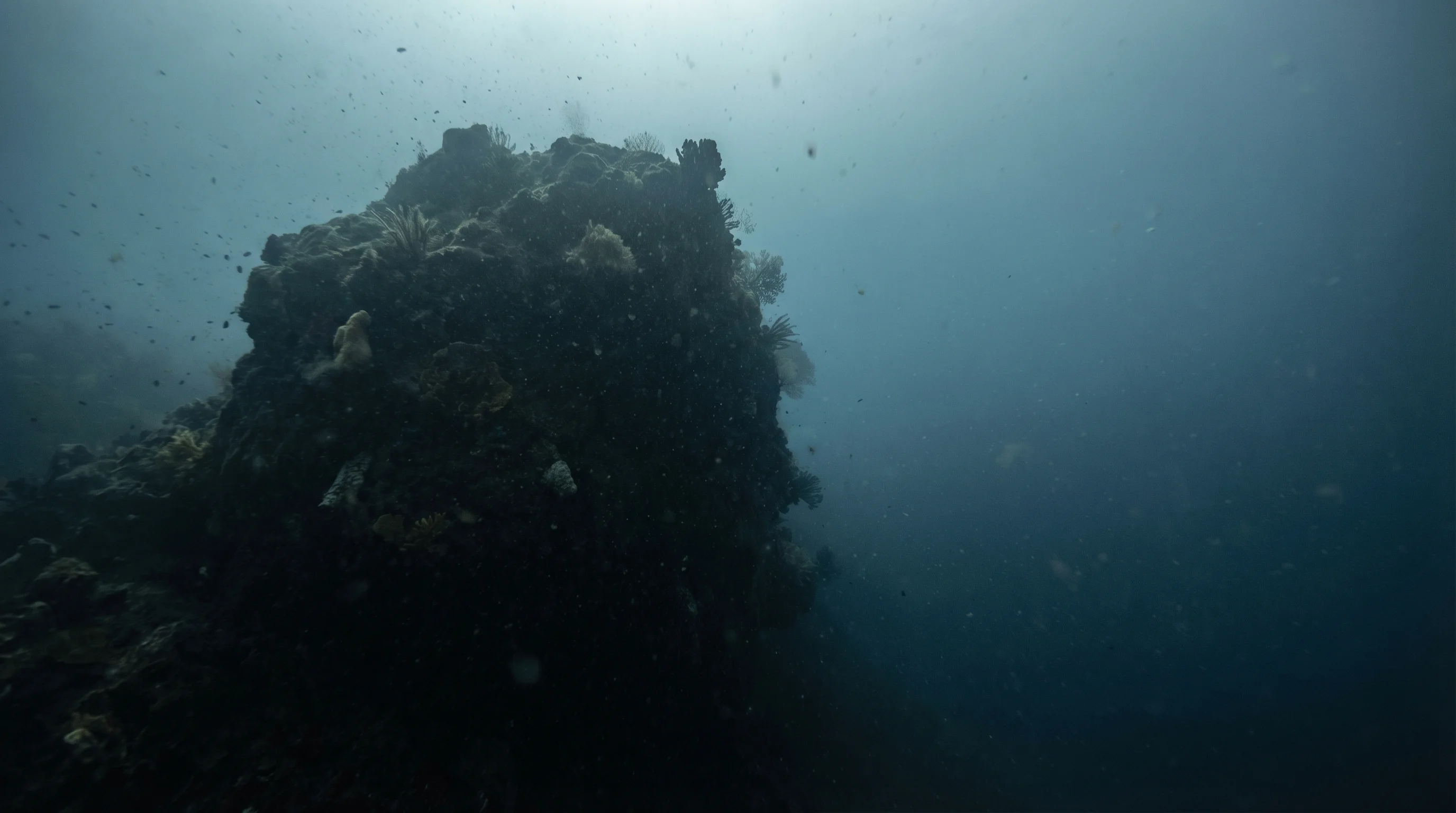 Dive site in Java