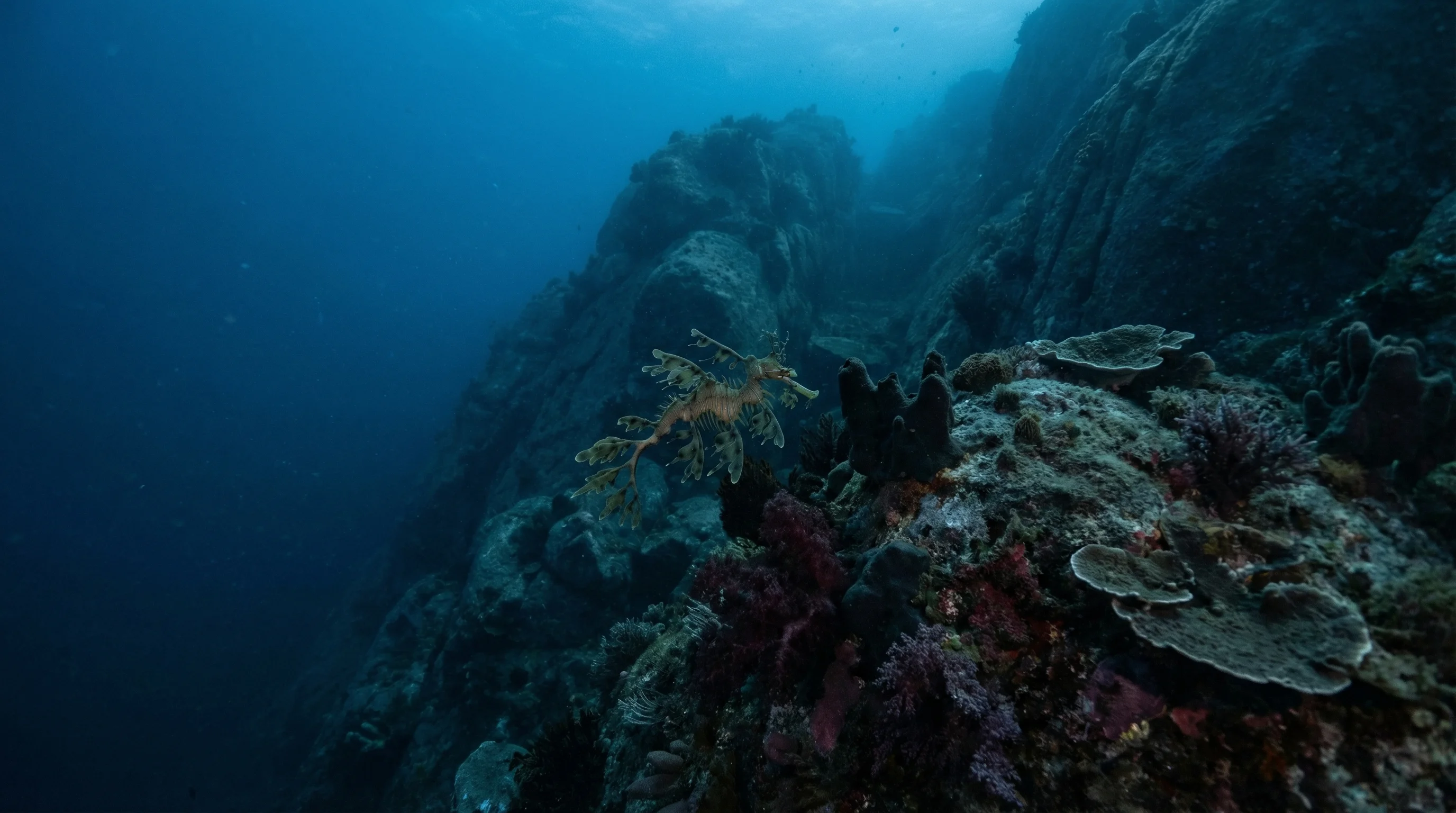 Recherche Archipelago