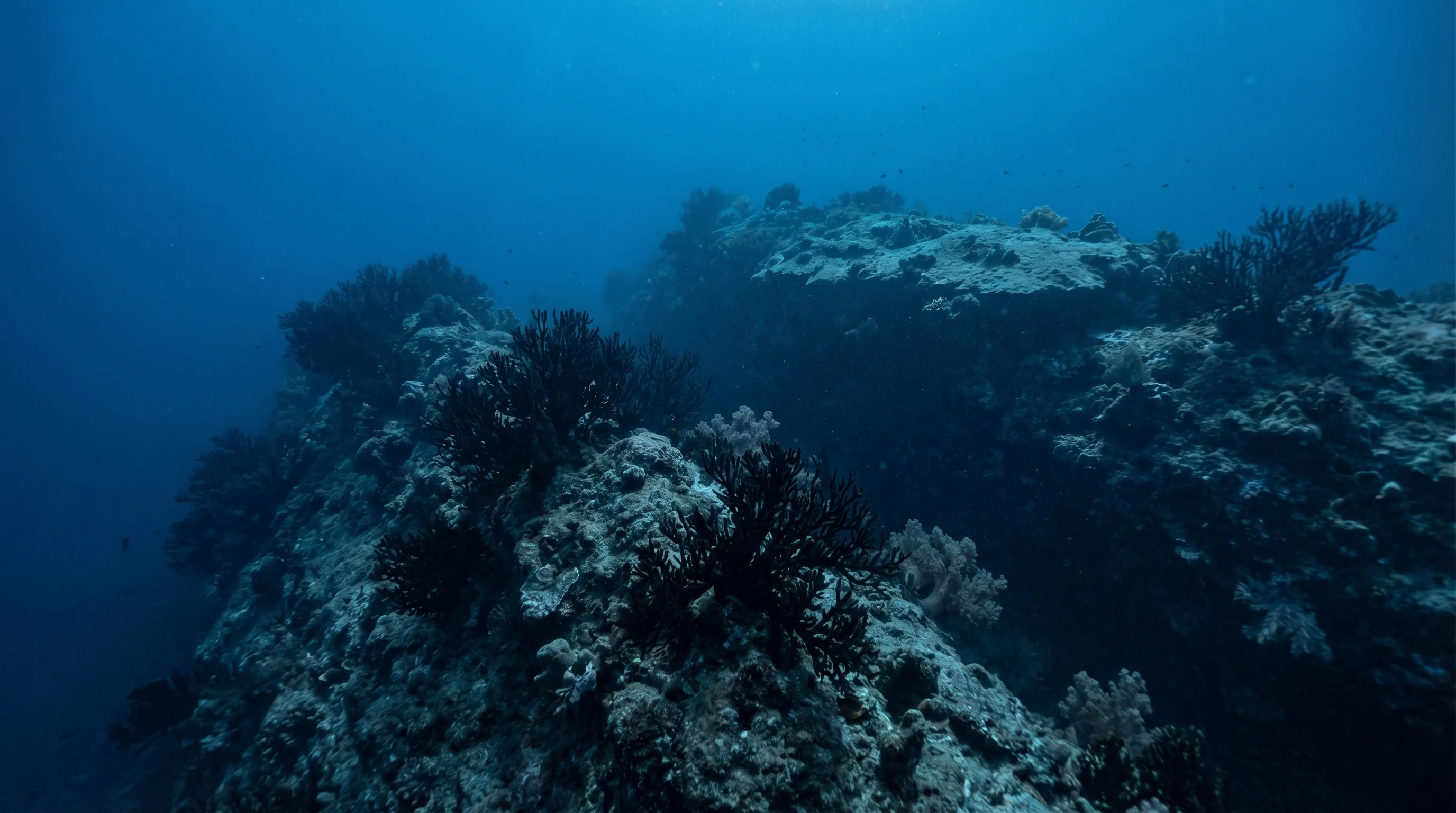 Dive site in Gorontalo