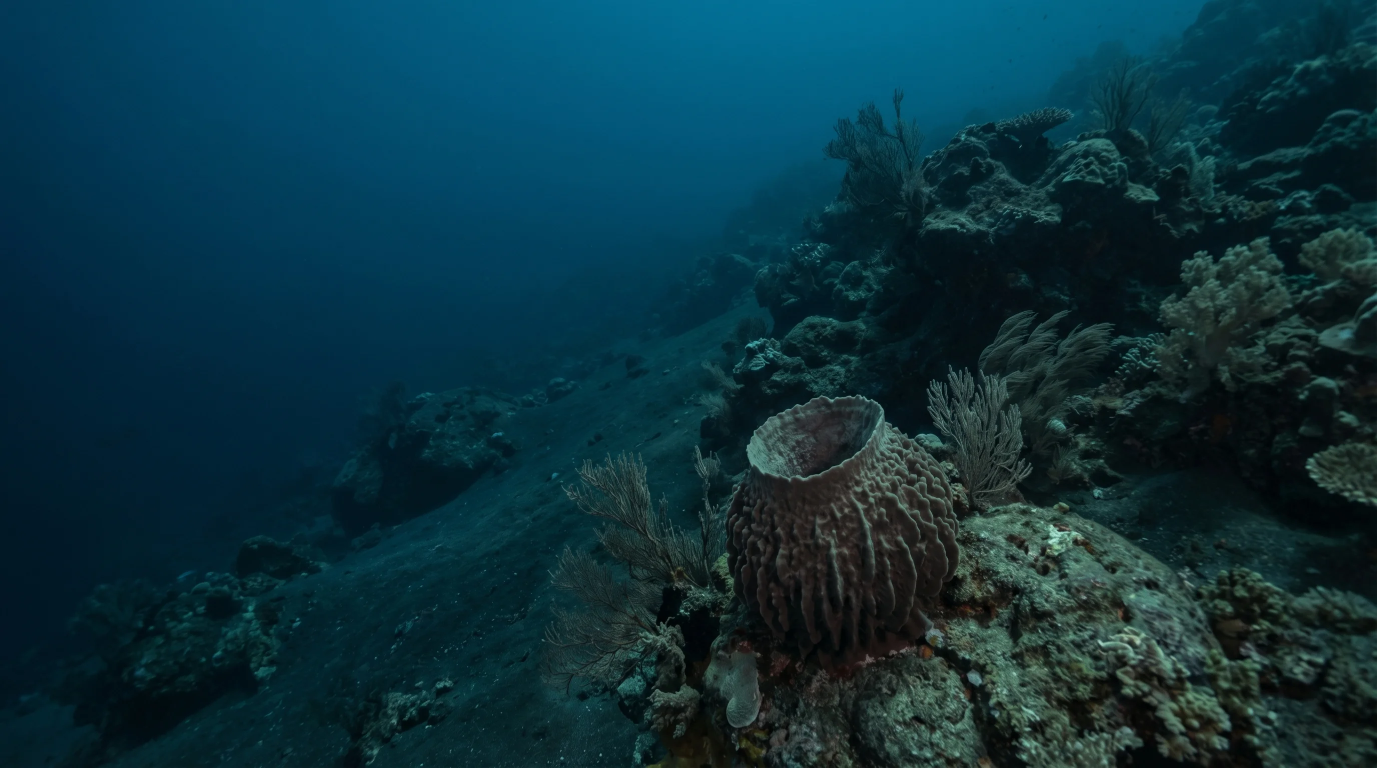 Dive site in Amed