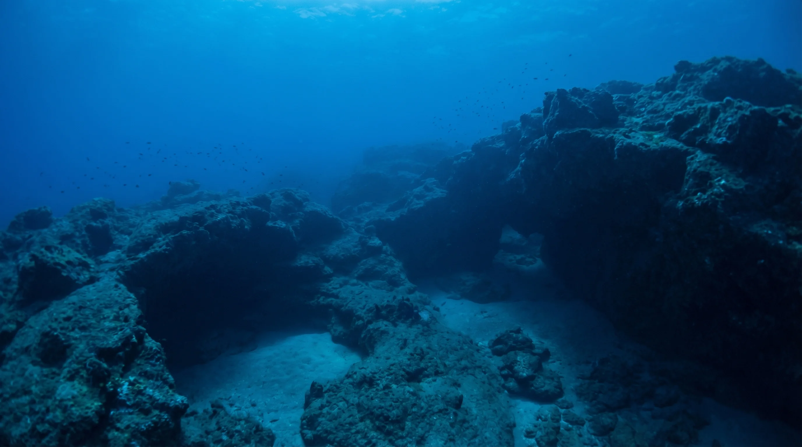 Dive site in North Aegean Islands