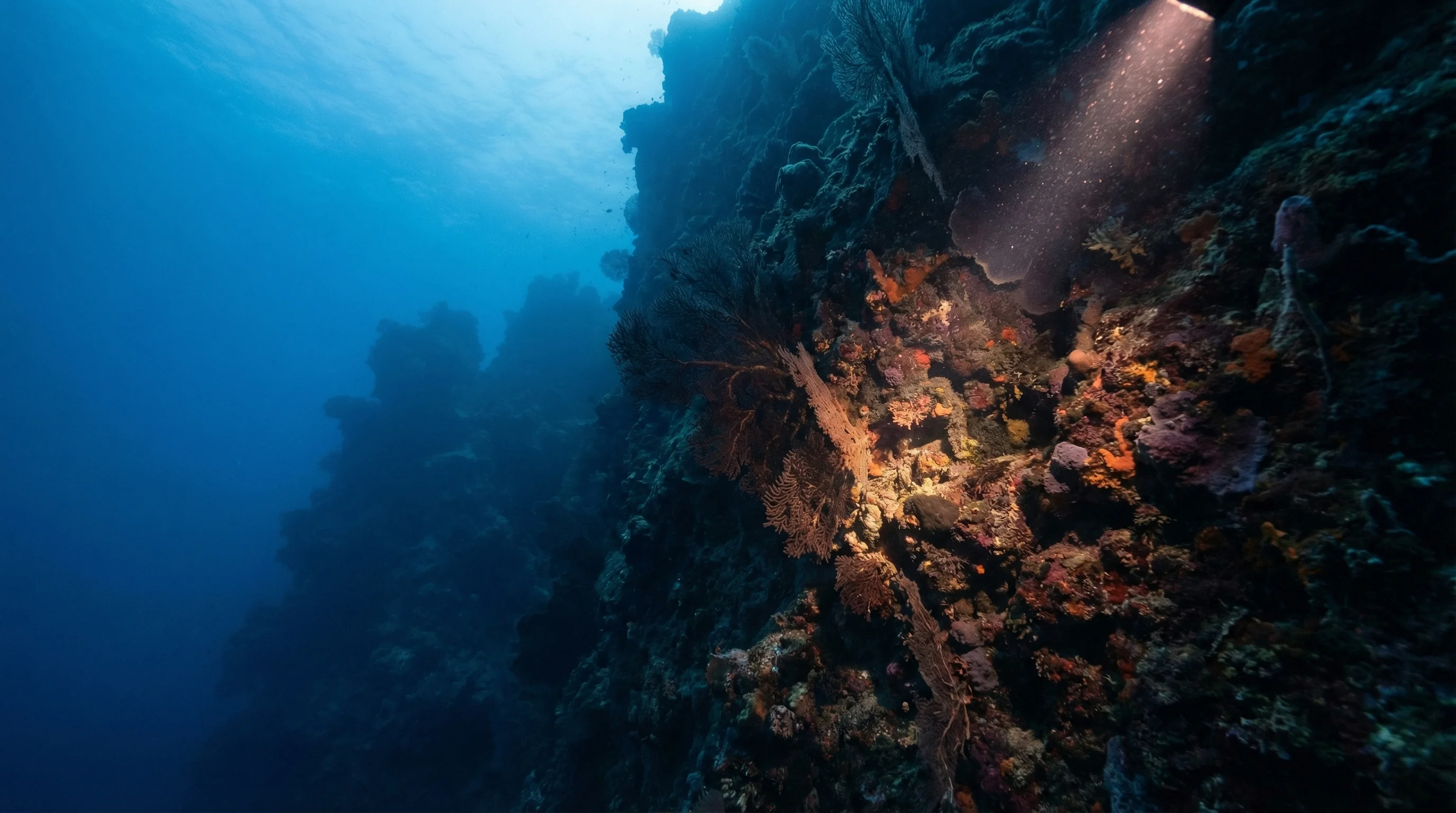 Southern Small Detached Reef