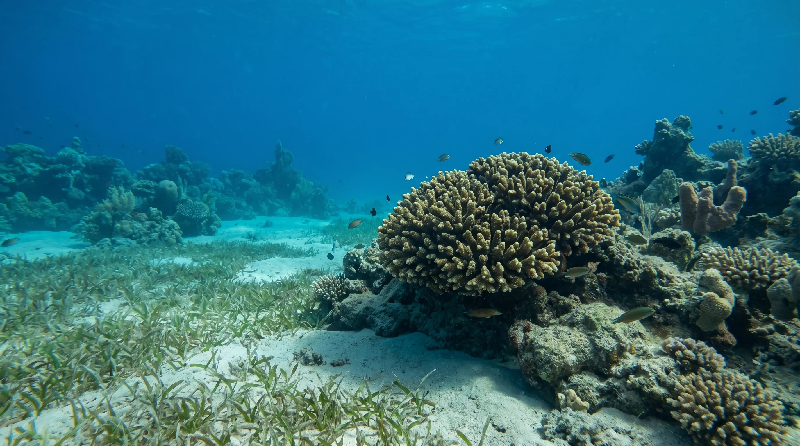 Marsa Shoni Bay