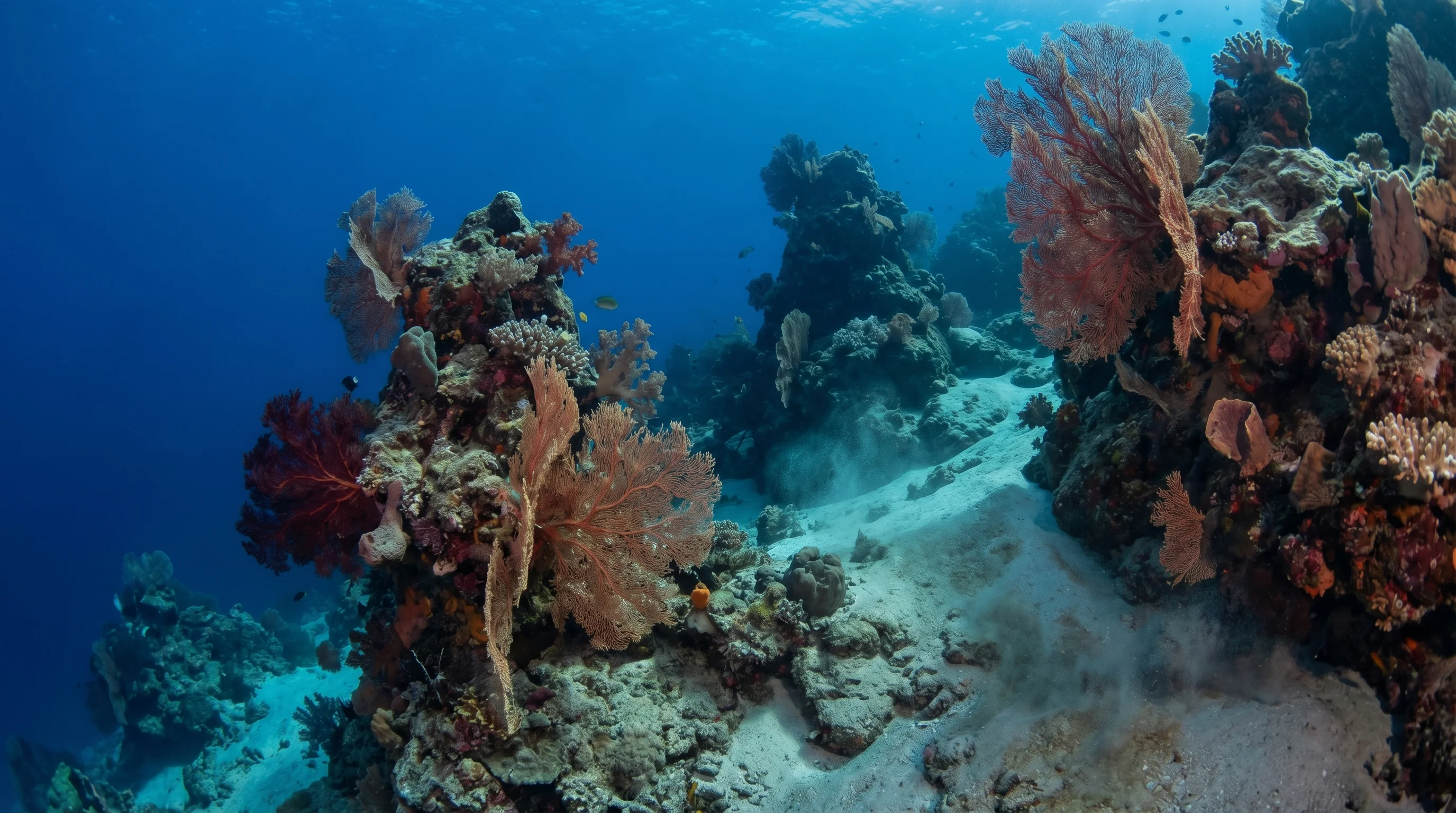 Dive site in Gorontalo