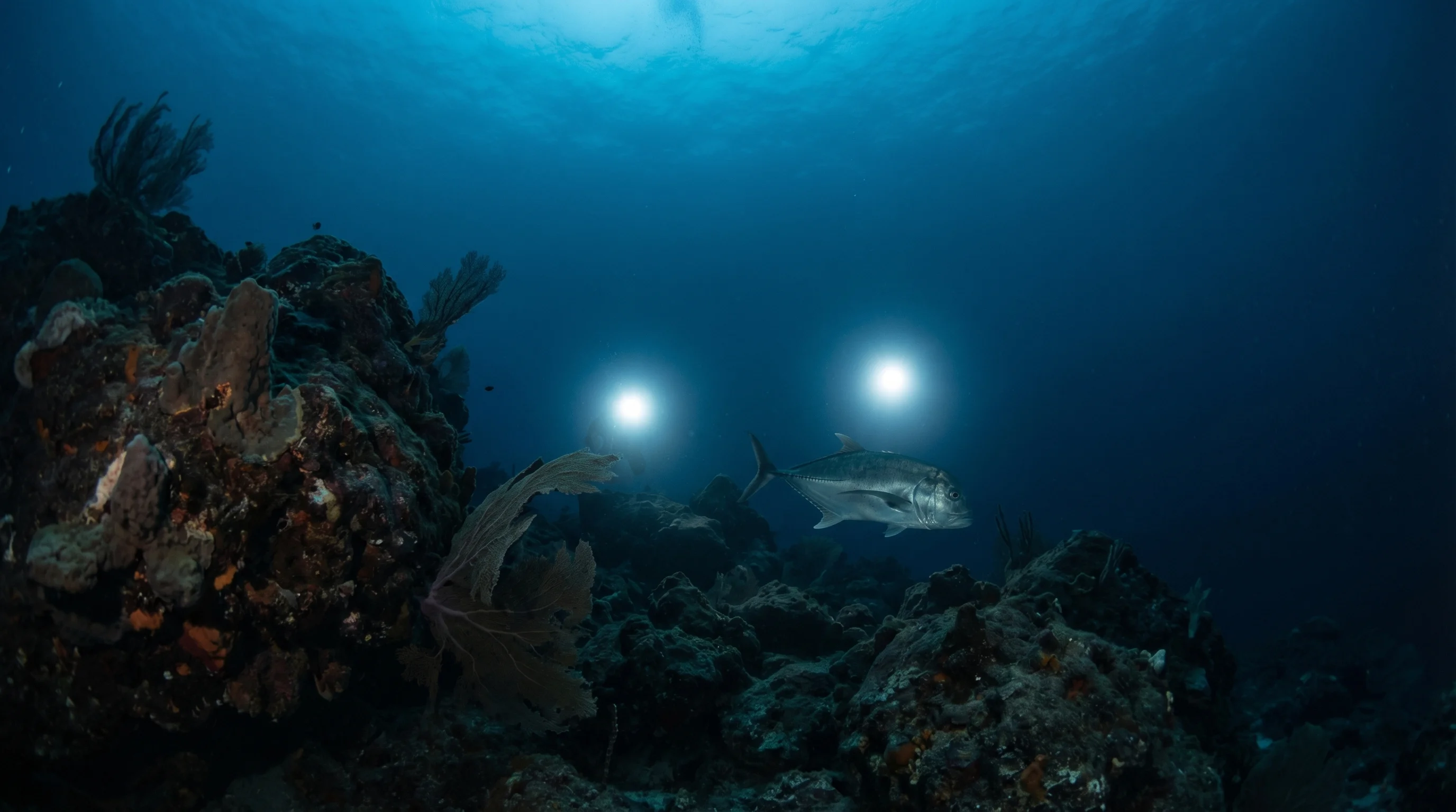 Dive site in Indonesia