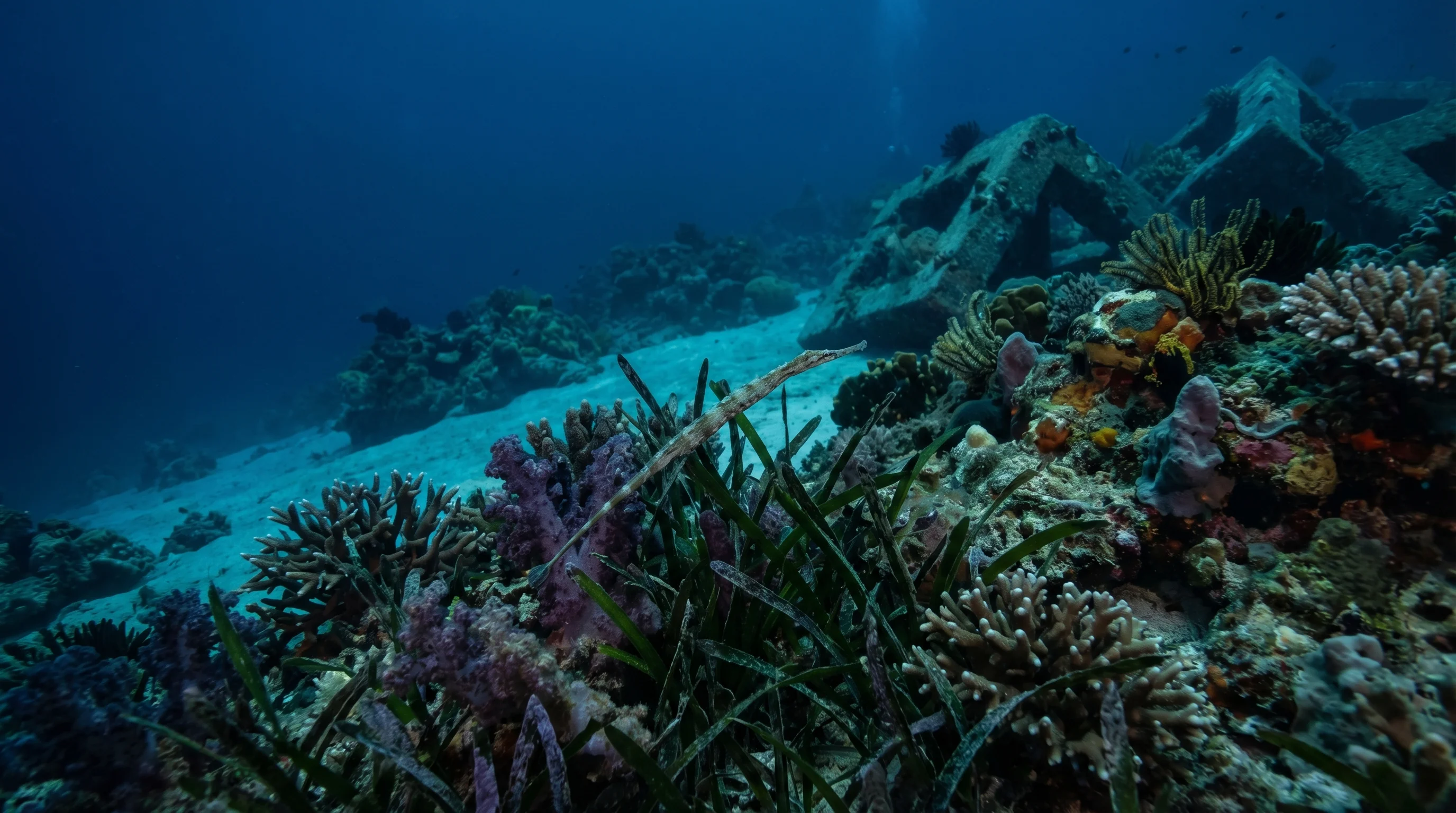 Gili Asahan