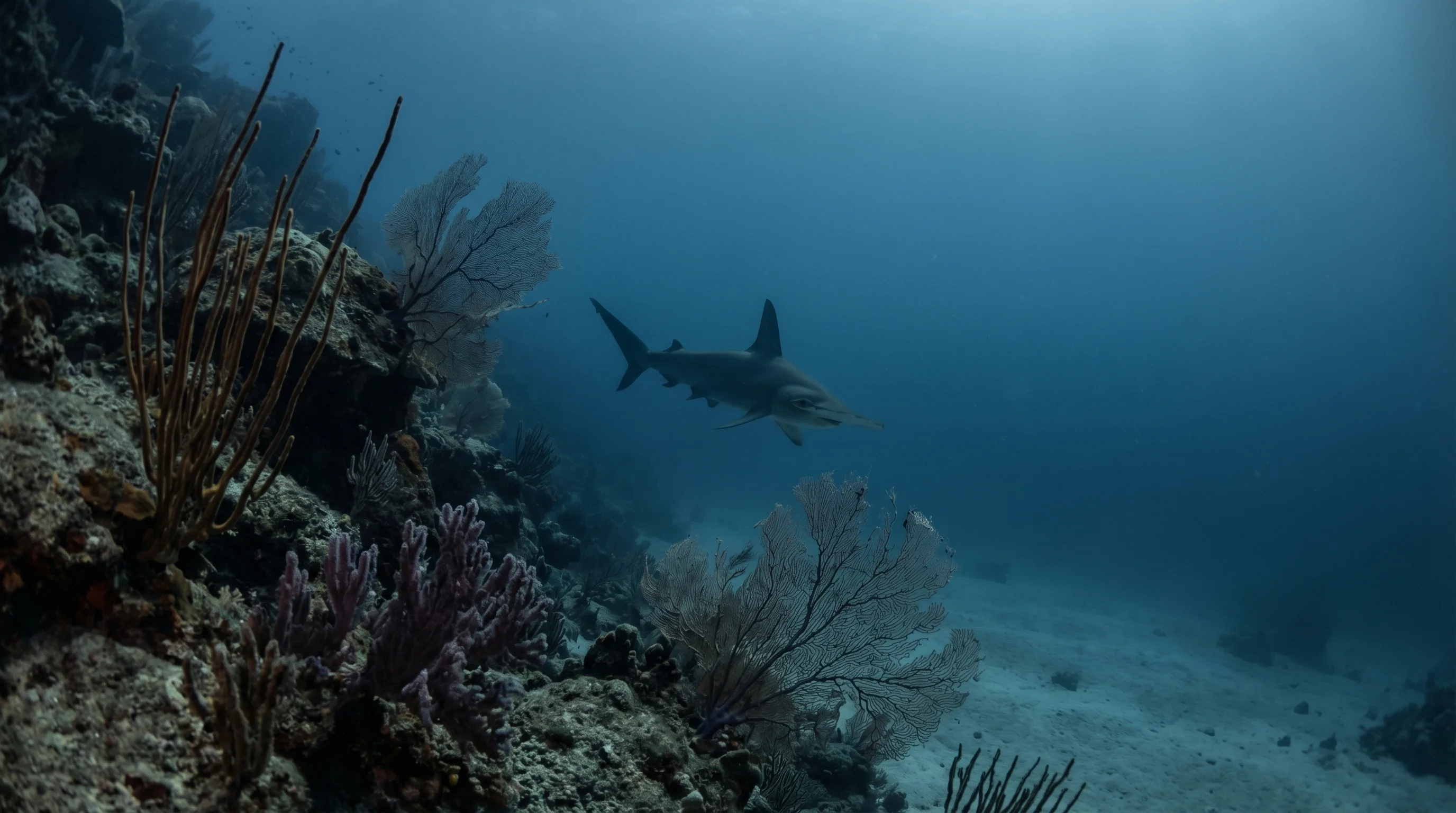 Deep Corner