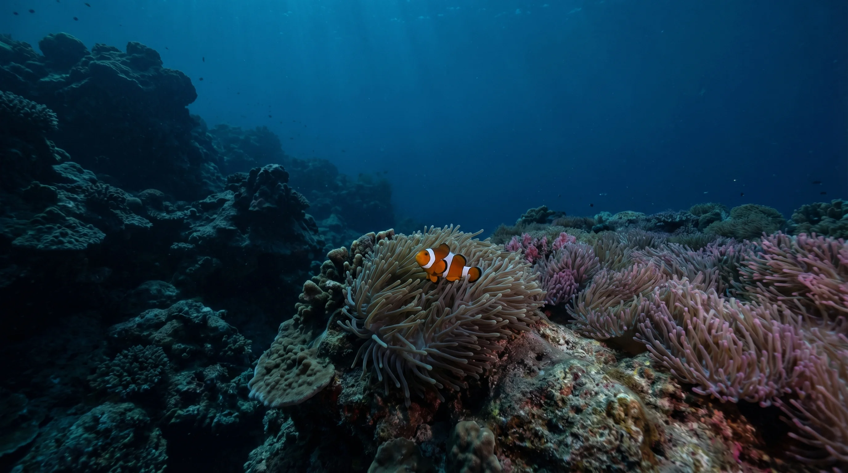 Gili Medas