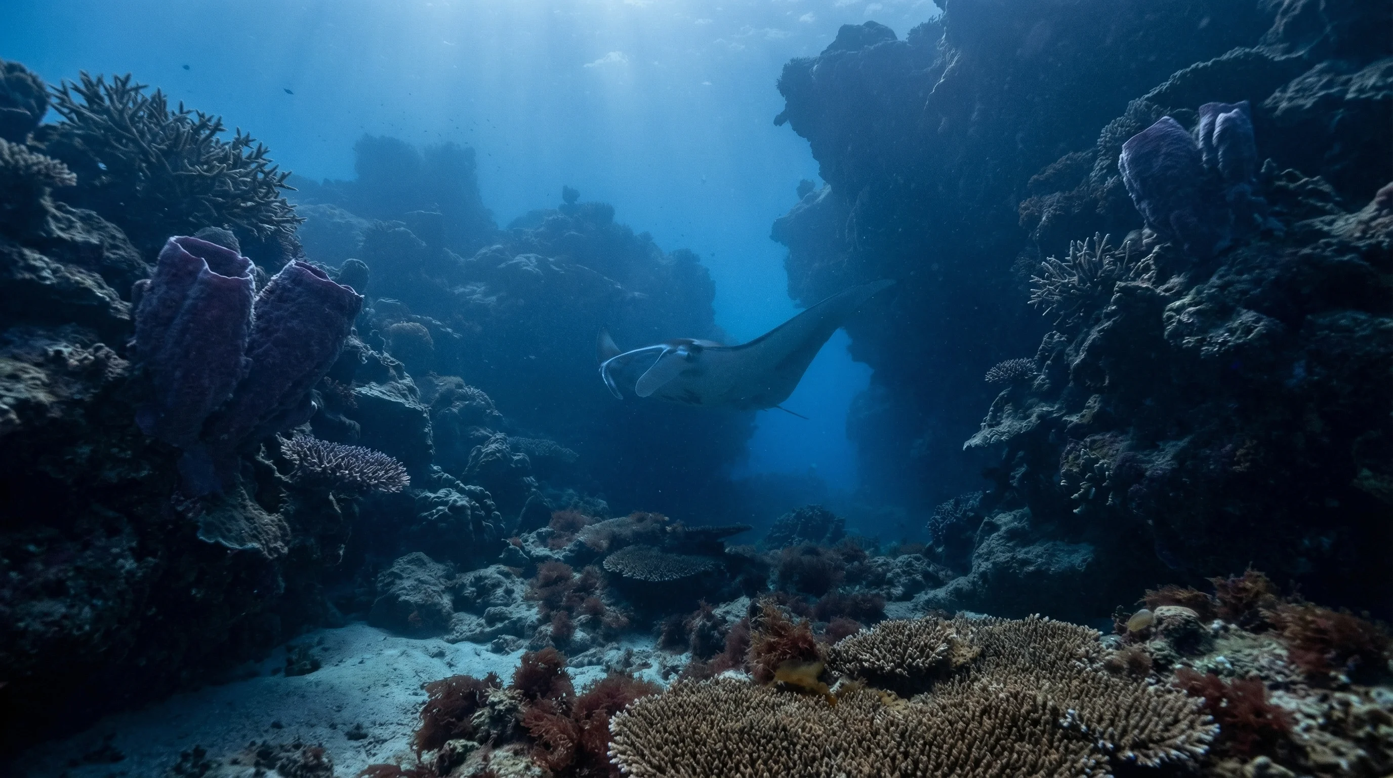 Vernon Islands Blue Holes