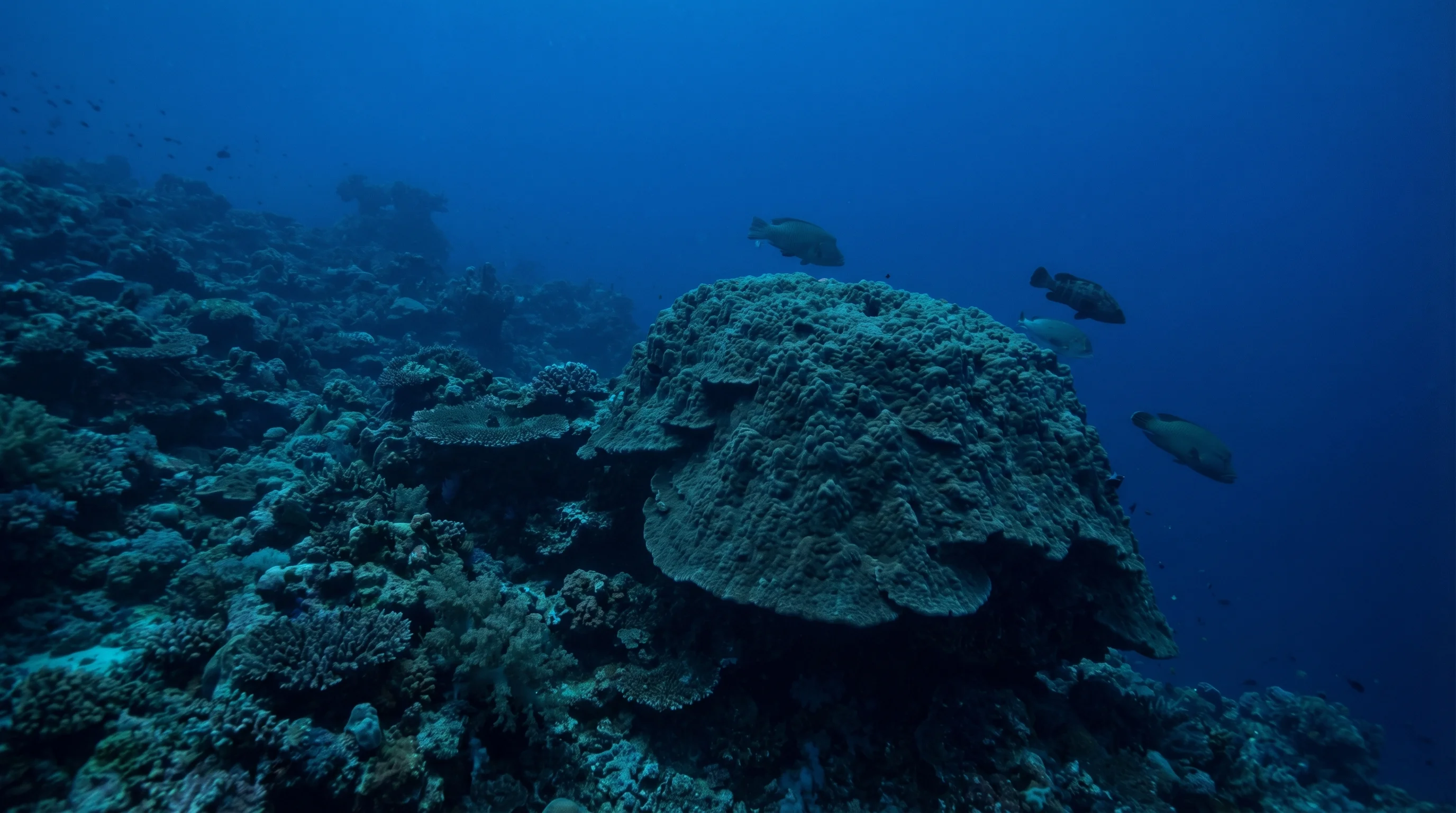 Morotai